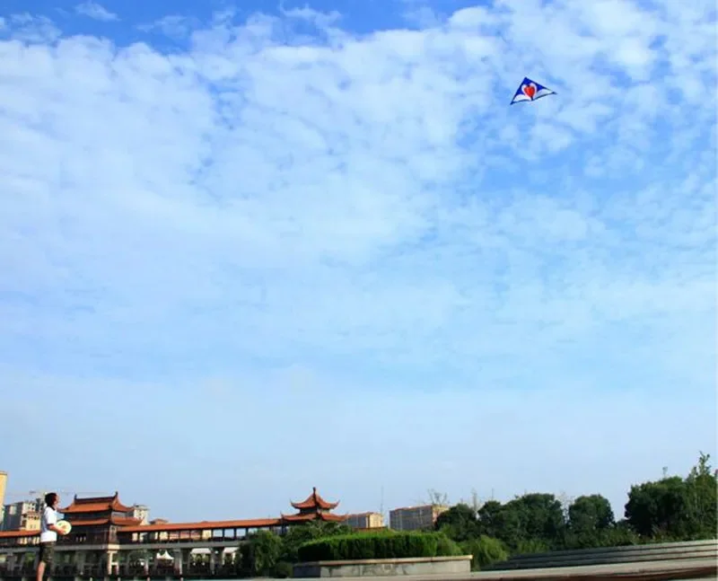 бесплатная доставка большой лебедь воздушный змей для взрослых нейлоновые