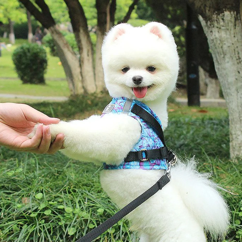 

Новый Светоотражающий Поводок для домашних животных с нейлоновым поводком 1,5 м, дышащий нагрудный ремень для собак, товары для домашних жив...