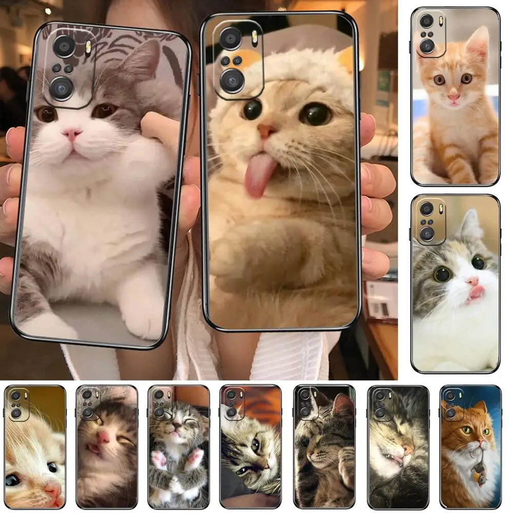 

HD-the moe cat Phone Case For xiaomi redmi 11 Lite pro Ultra 10 9 8 MIX 4 FOLD 10T Black Cover Silicone Back Prett