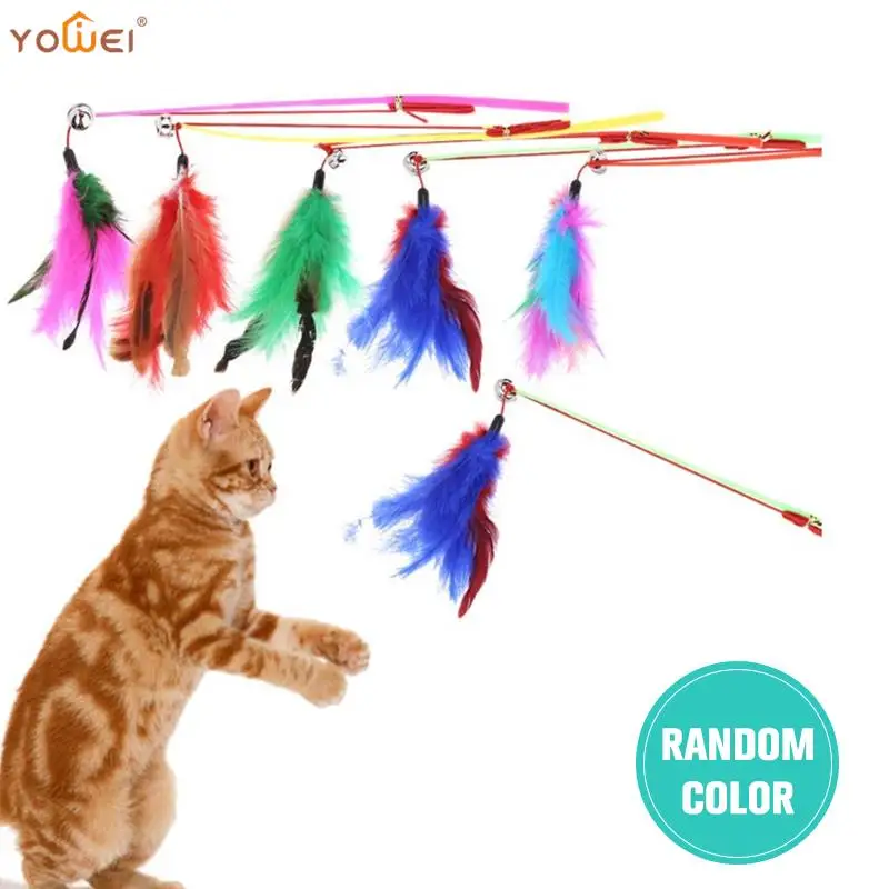 

Funny Cat Teaser Interactive Toy Rod with Bell and Feather Rod For Pet Kitten Chaser Wand Playing Toys Stick Random Color 31CM