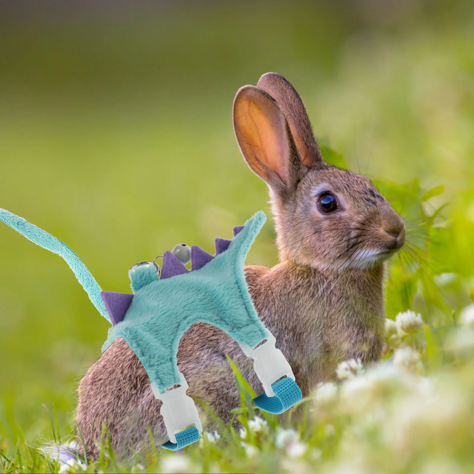 Convenient Outdoor Lightweight Ferret Walking Vest Squirrel Harness Ferret Clothes