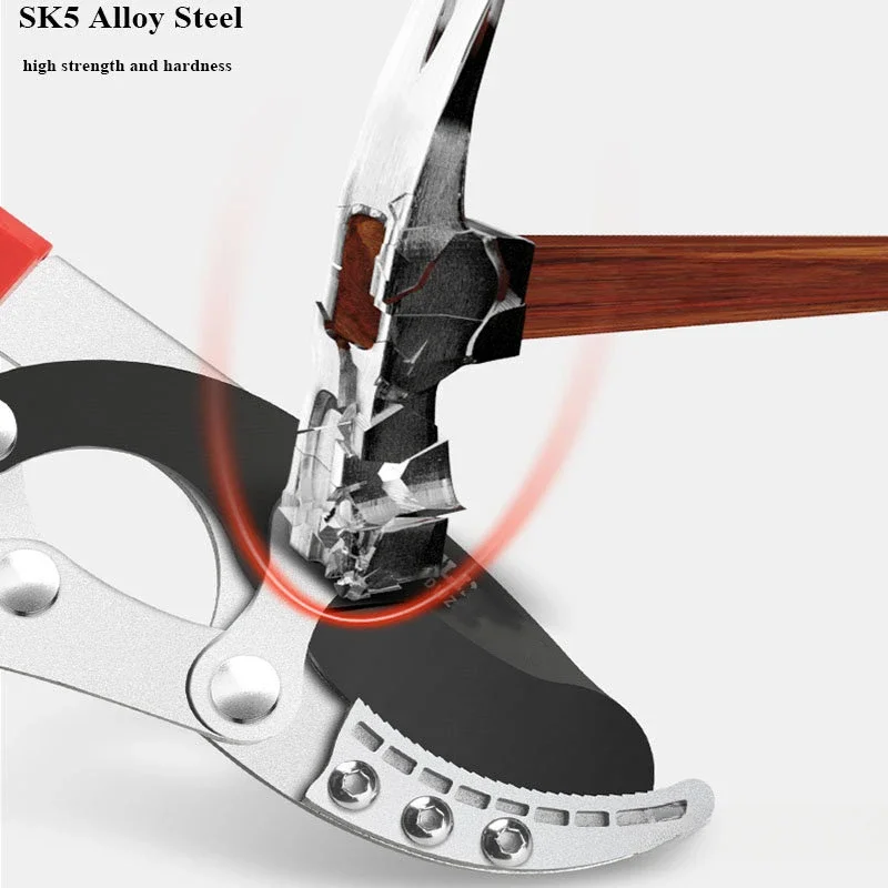 Фото LS дозвоateur Long En Acier SK5 Pour Arbres Fruitiers, Ciseaux De Jardin, Outils À Main №4