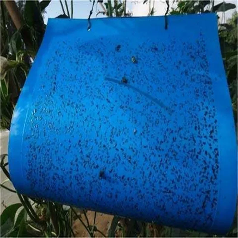 5/10/20 шт. клейкая лента-ловушка для фруктов