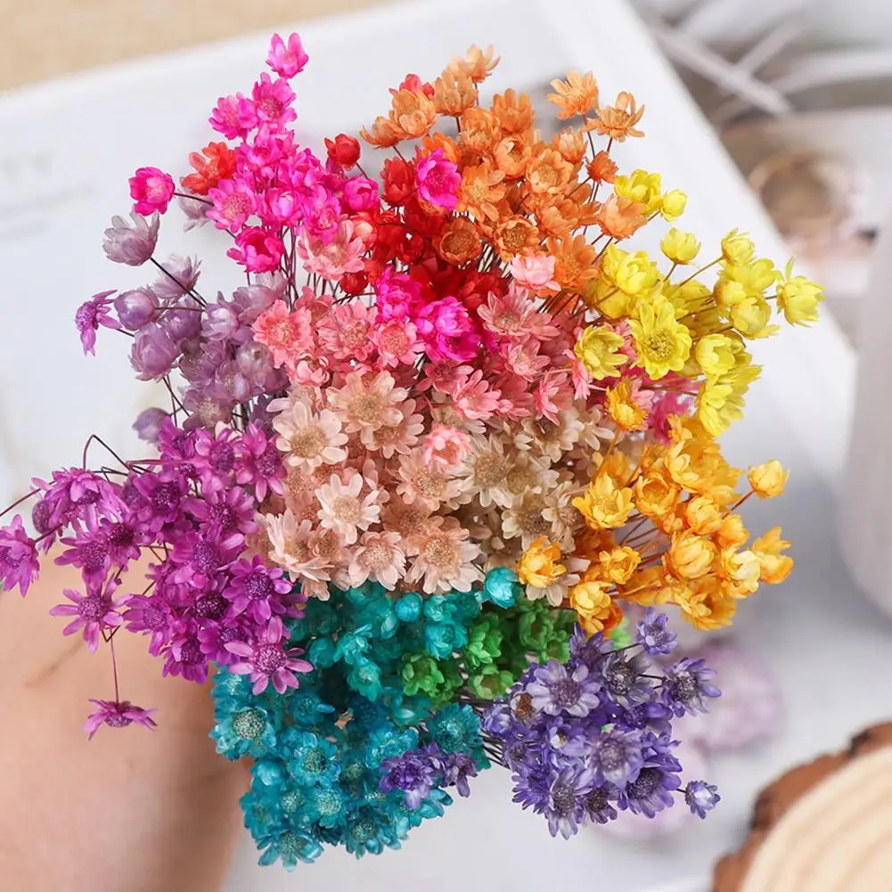 

30Pcs Dried Bouquet Decorative DIY Colorful Natural Plants Preserve Floral Home Decor