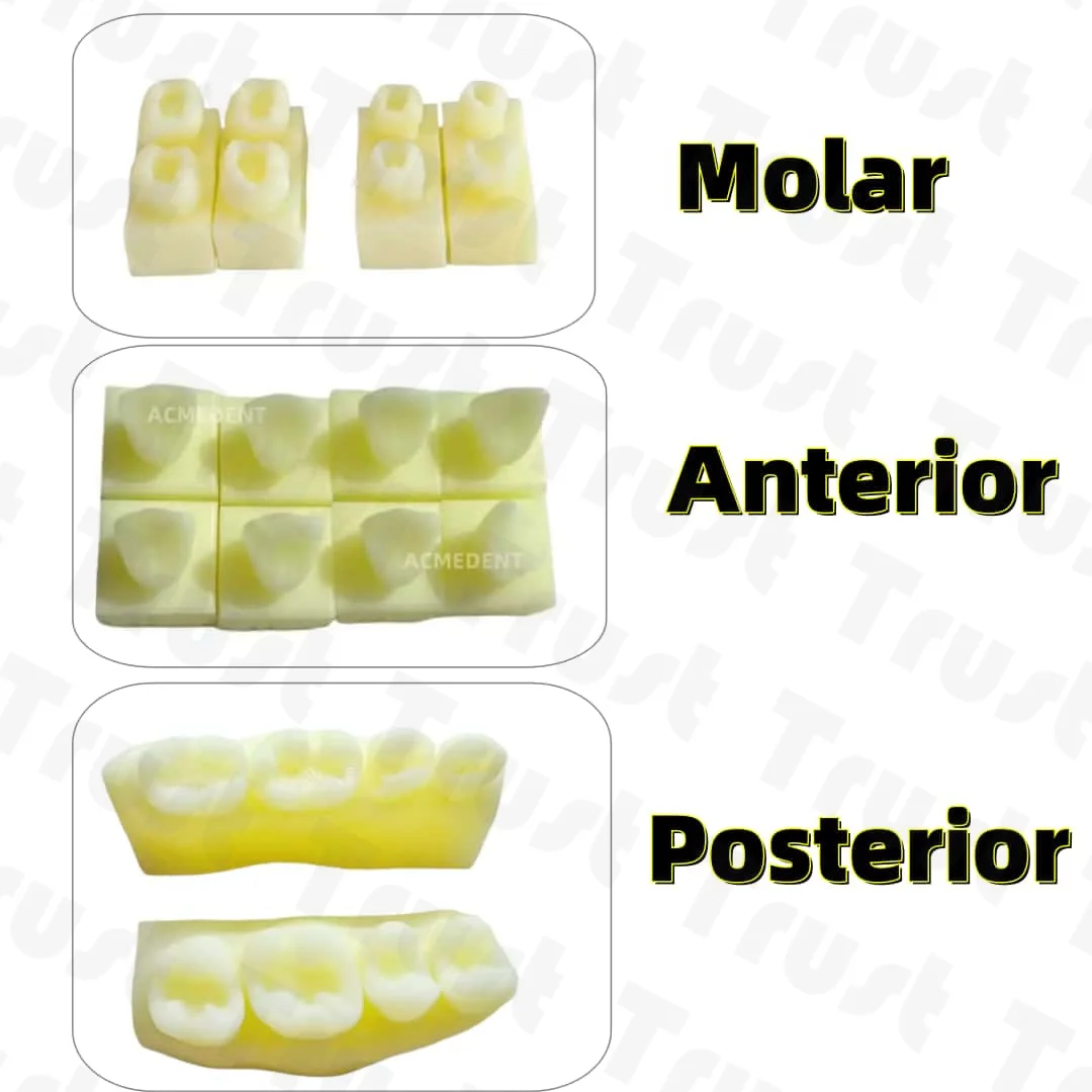 Отверстие для подготовки полости зубов практика кариеса шаблон наполнения
