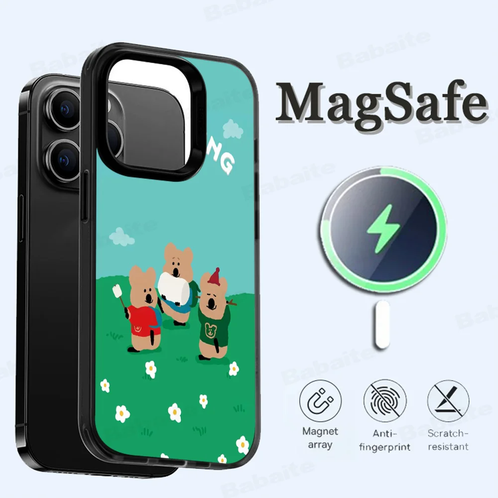 Cute D-Dinotaeng Bear Phone Case Magesafe Magnetic Wireless Charge For iPhone 16 11 12 13 14 15 Pro Max Plus Mini