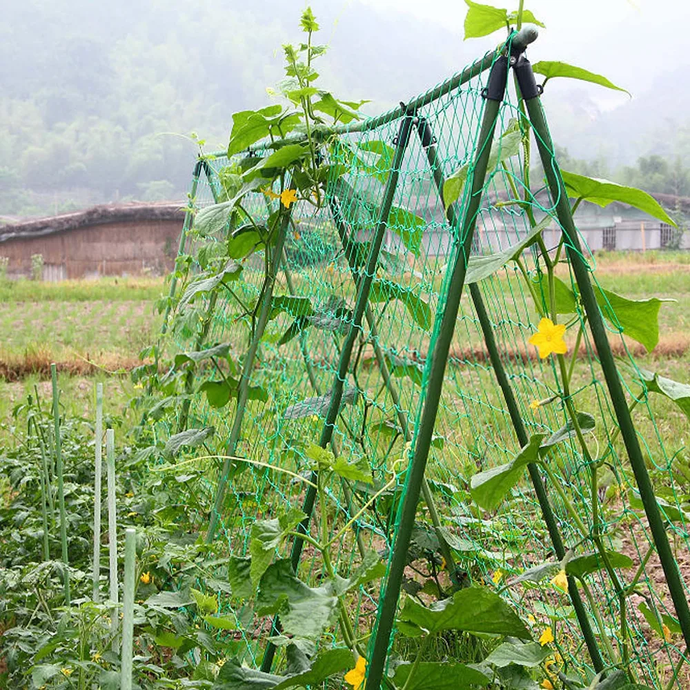 

1.8m Length Vegetables Fruits Gardening Nylon Trellis Support Net Frame Grow Fence for Climbing Vine Bean Plants Garden Tools