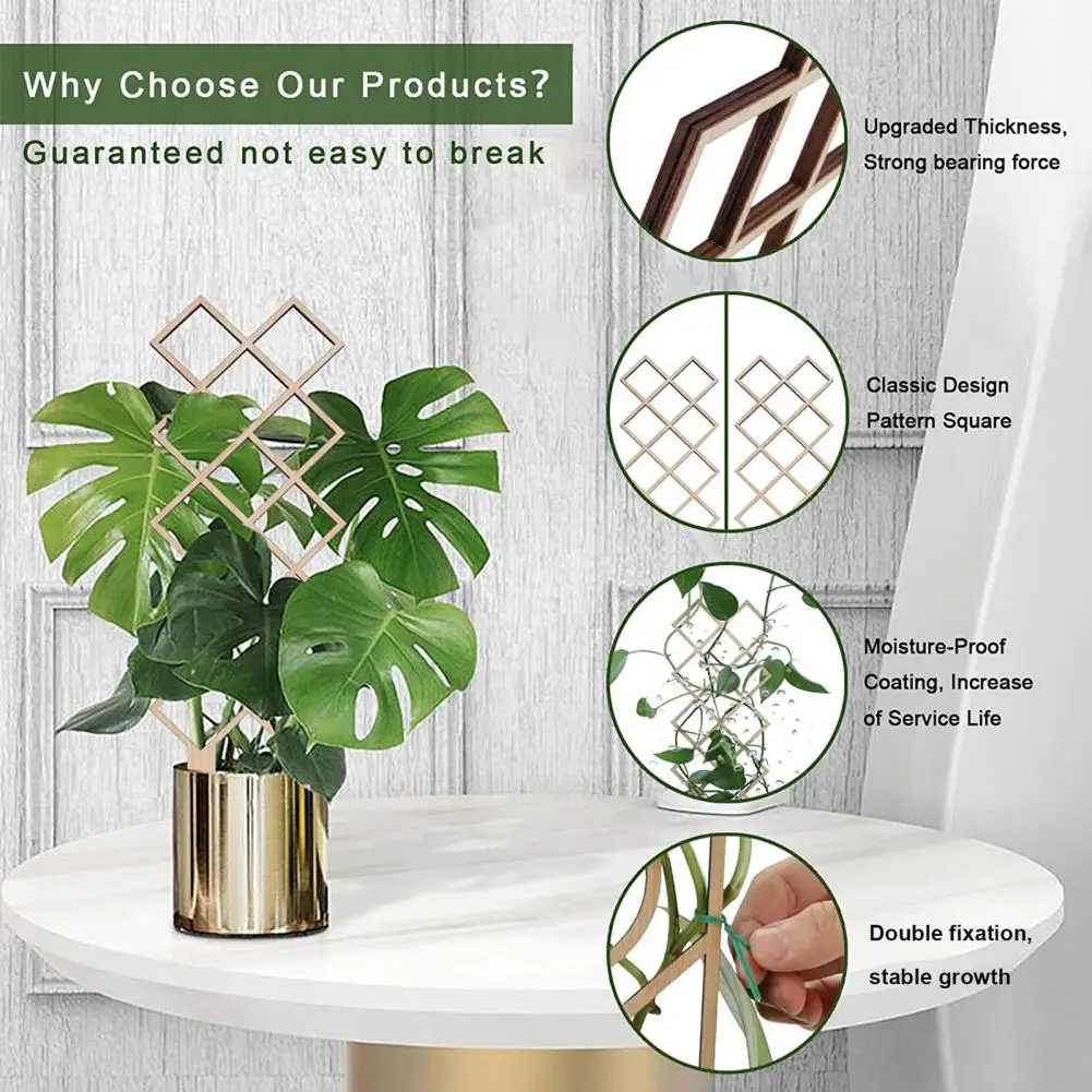 Набор для выращивания растений решетки из твердой древесины комнатных цветочных