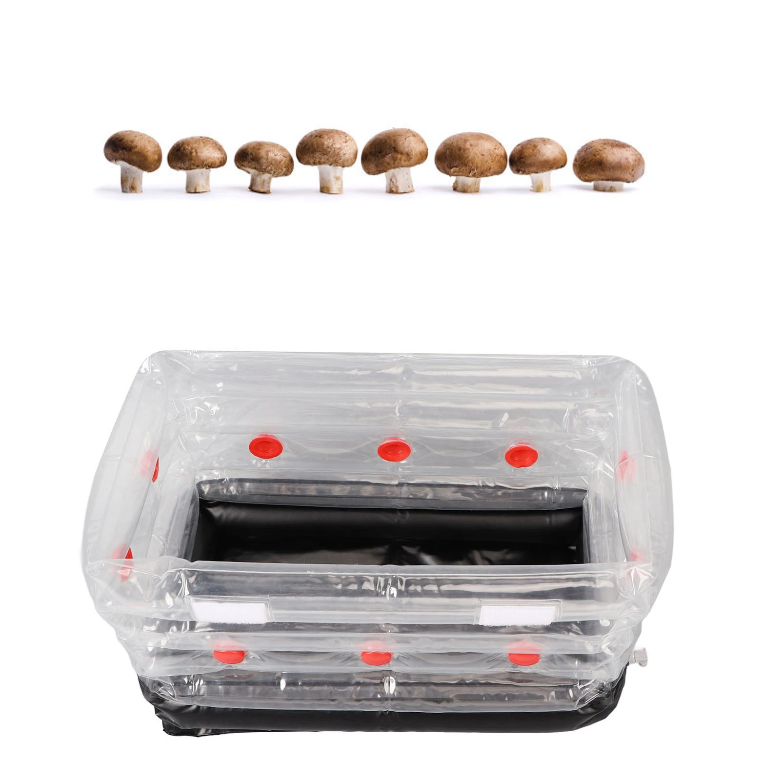 ZK20 Mushroom Monotub Kit Домашний надувной набор для выращивания грибов Портативный