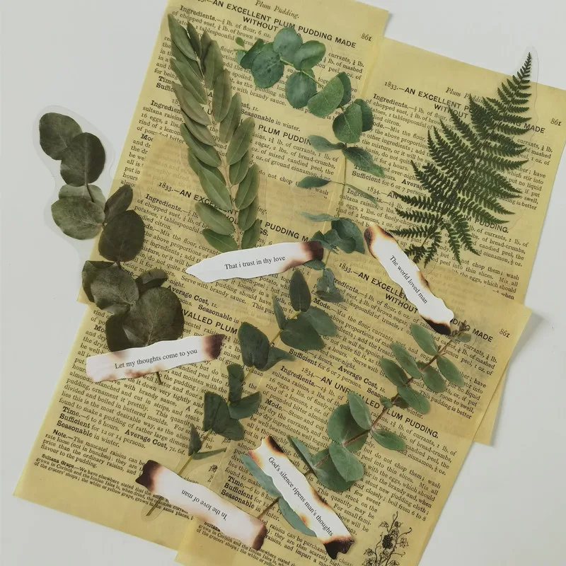 

Vintage Transparent PET Plant Flower Diary Sticker Poetry Label for Scrapbooking Journal Retro Waterproof Decoration Sticker