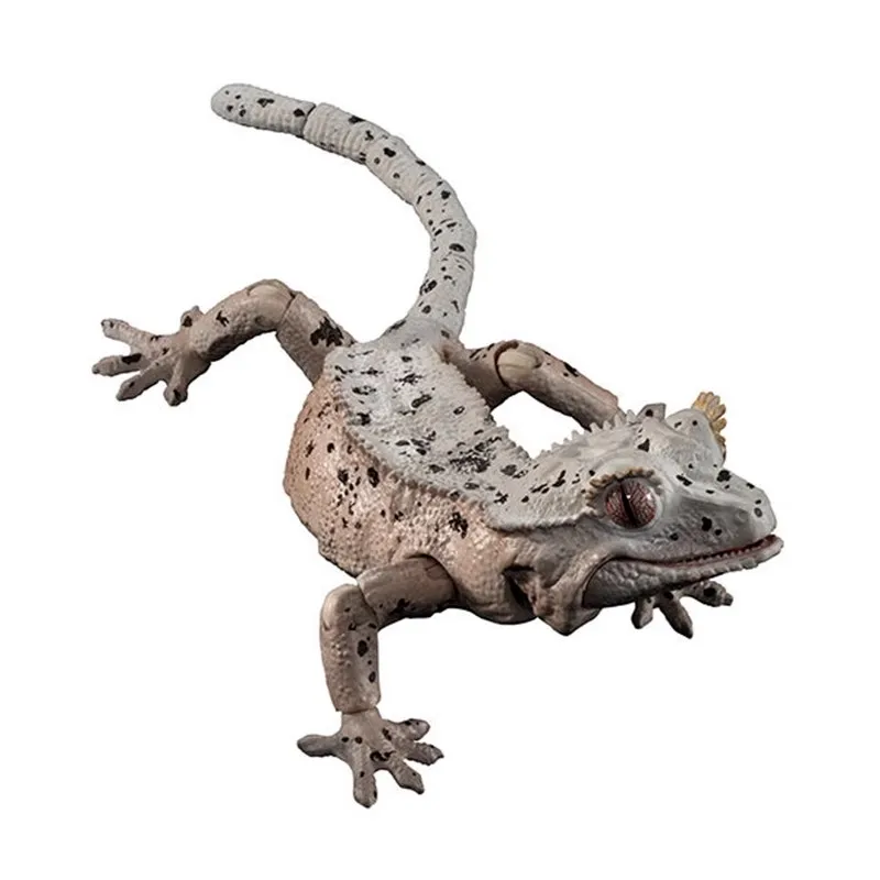 Gecko models