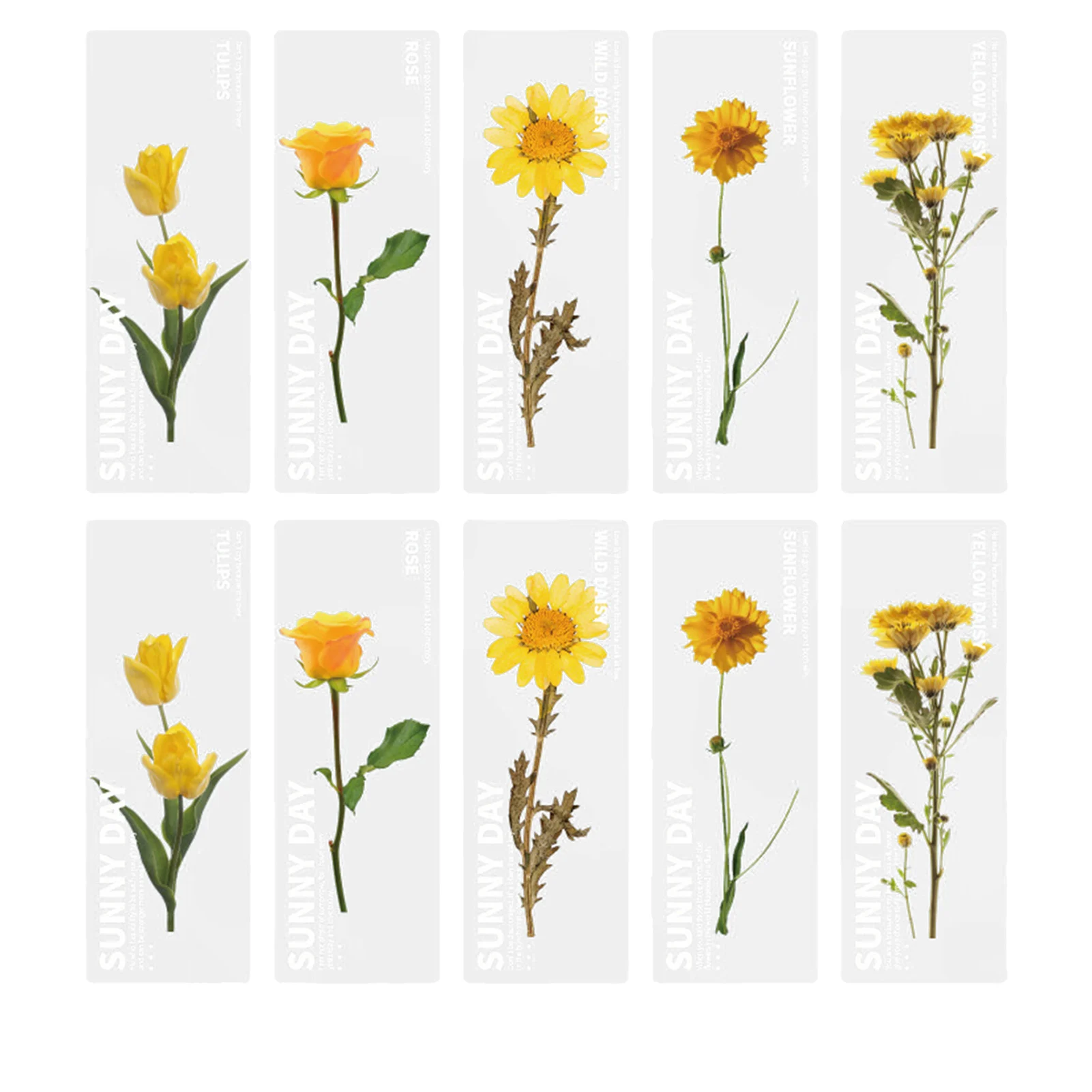 

10pcs Assorted Bookworm Nature Plants Rectangle Flower Reading Bookmark PET Transparent Printing Bookmark Student Stationery