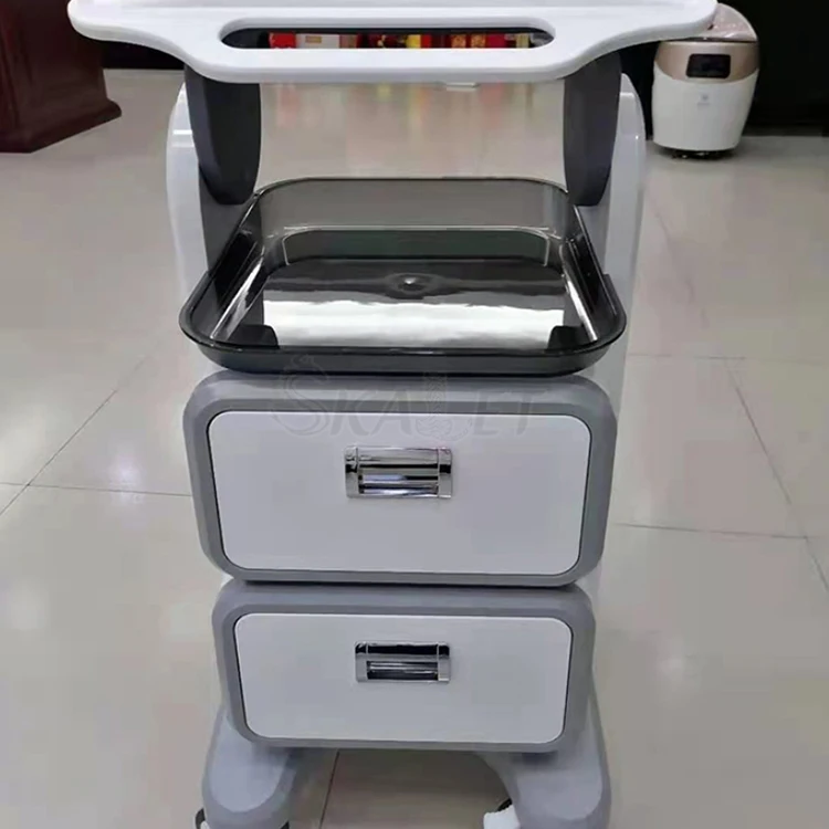 

In Stock Trolley Rolling Cart Aluminum Stand with Double Drawer