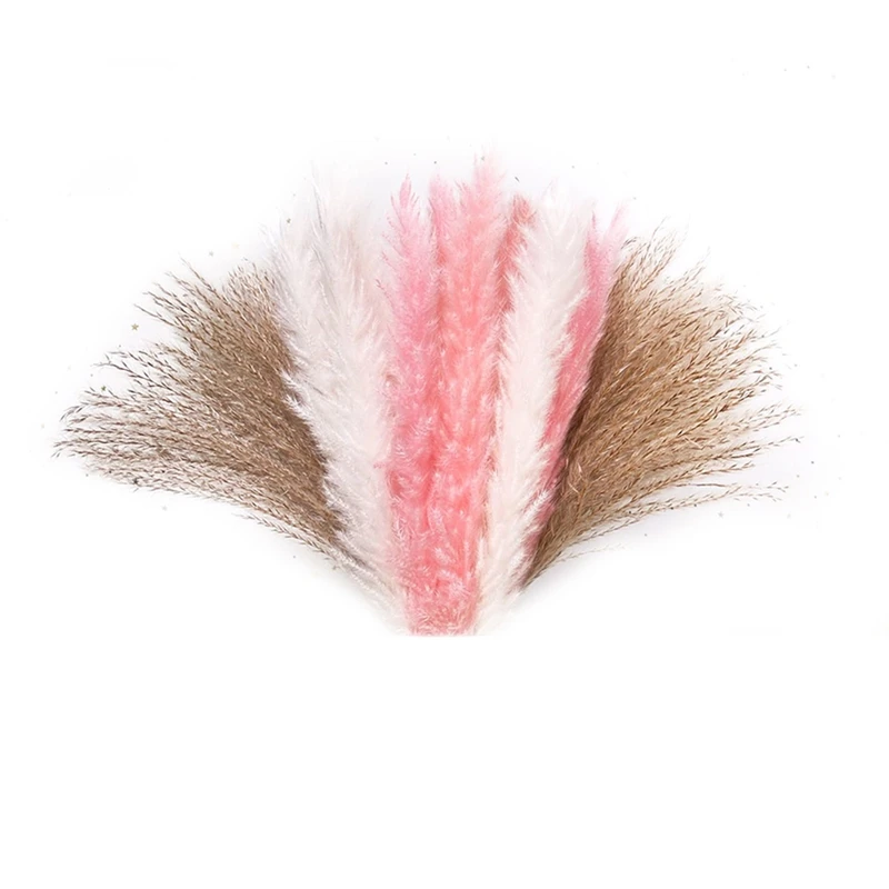 Акция! Сушеная пампасная трава 60 шт. натуральная для композиции свадебный букет в