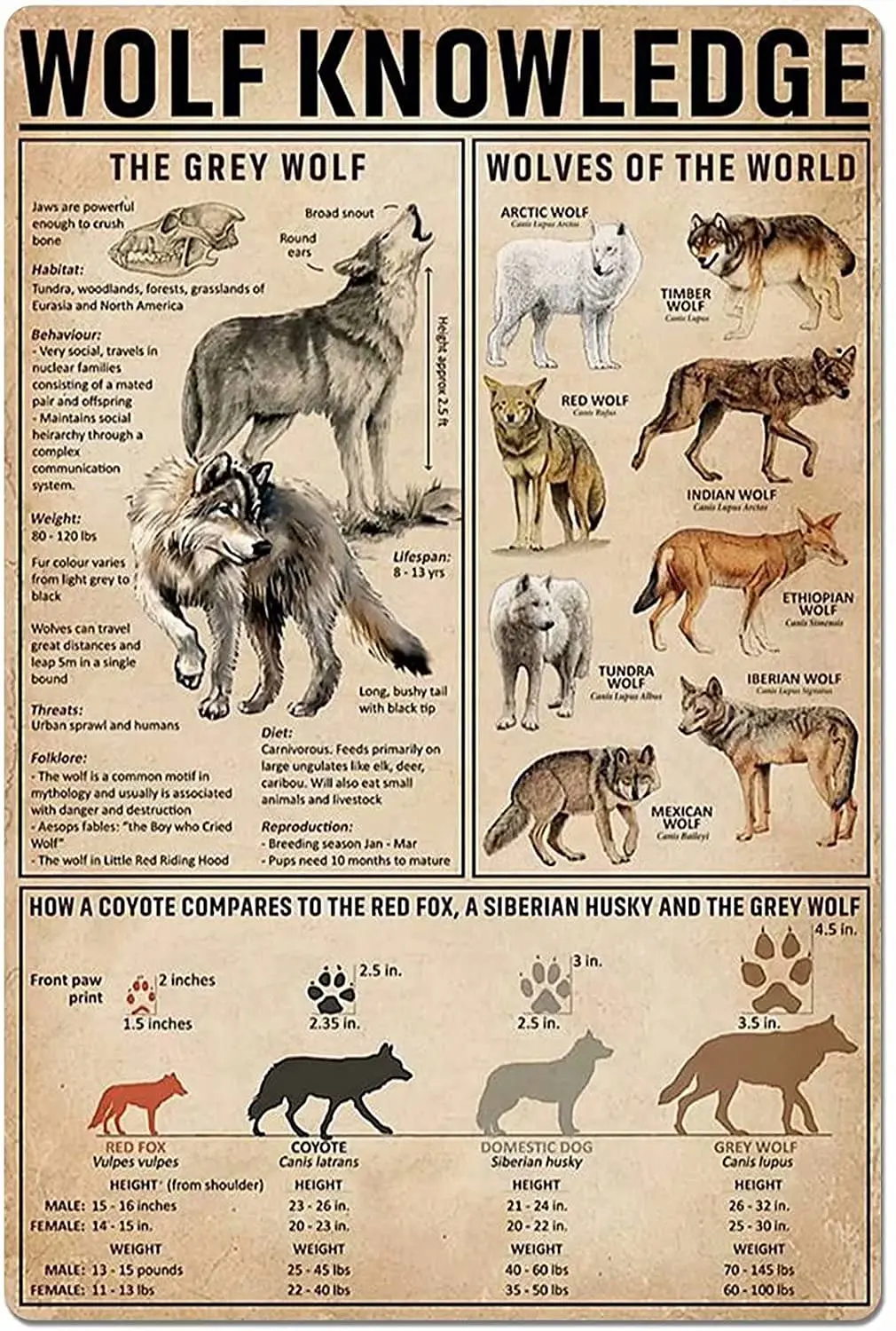 

Wolf Knowledge Retro Metal Tin Sign Wolves Of The World Printed Poster Cafe Bar School Home Education Living Room Art Wall Decor