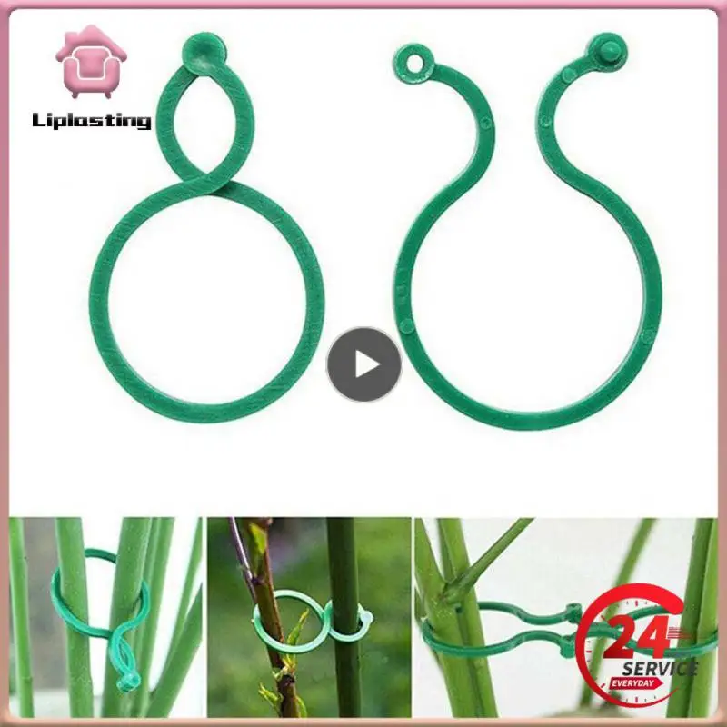 

Garden Vine Strapping Clips Plastic Plant Climbing Buckle Hook Fixture Vine Fastener Tied Plant Wall Climbing Vine Clips Hot