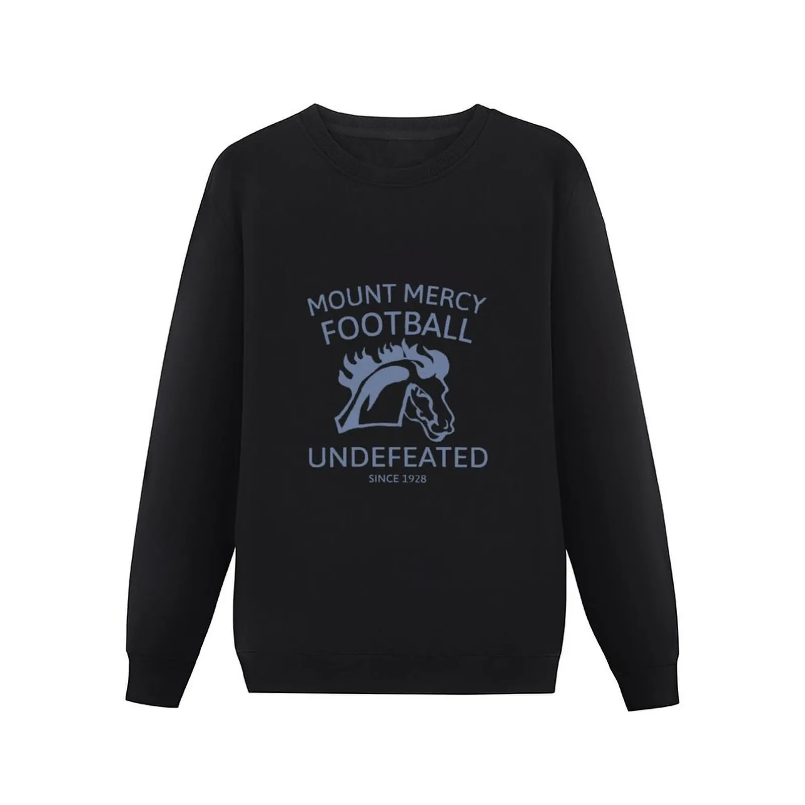 Mount Mercy University Football: Undefeated Pullover Hoodie мужская одежда новые толстовки и