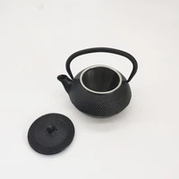 300ml cast iron teapot water kettle with stainless steel filter japanese tetsubin
