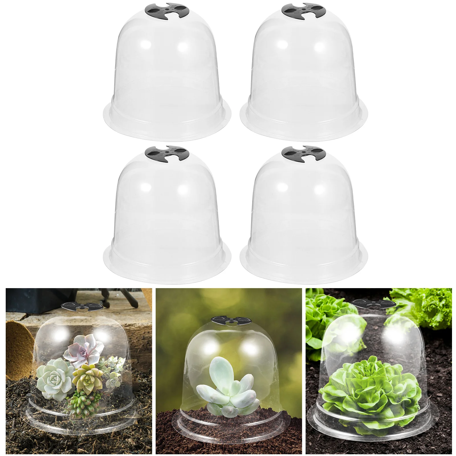 4 PCS Plastic Garden Cloche Mini Succulent Plants Plastic Mini Greenhouse Greenhouse Cloche Indoor House Plants