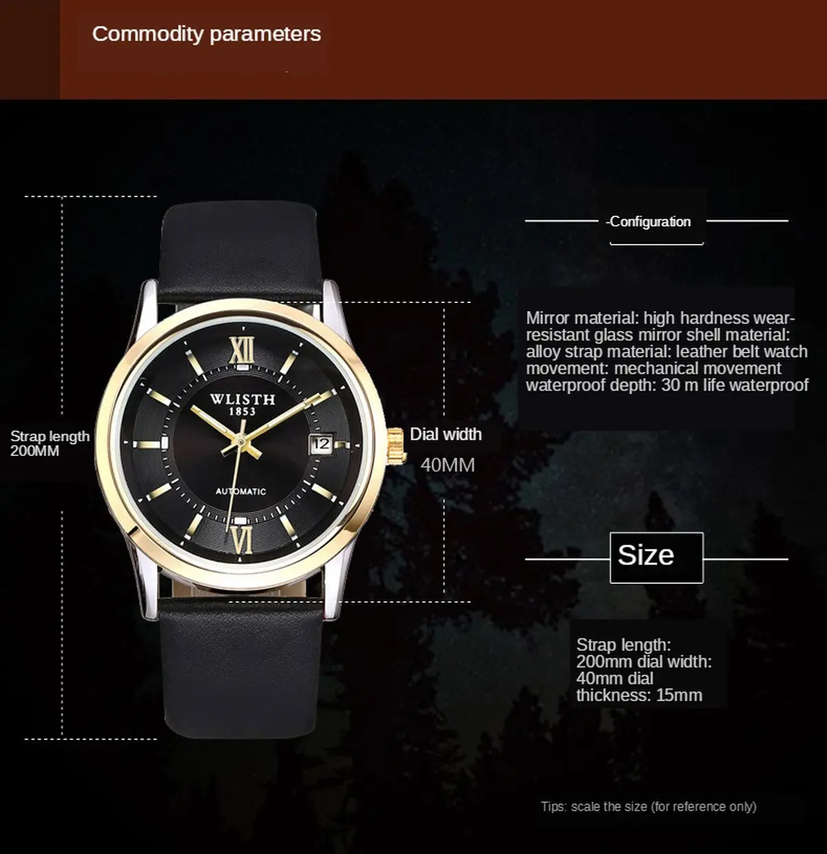 Top Brand Luxury Golden Mens Watches Luxury Casual WLISTH Design Leather Men Watch Mechanical Automatic Watch Relogio Masculino