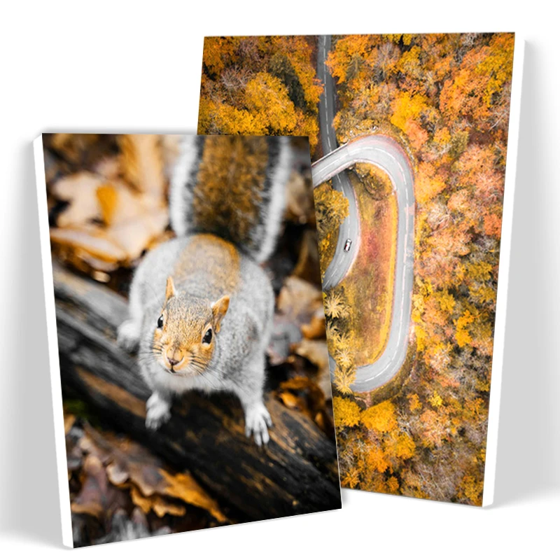 Набор фломастеров SDOYUNO для рисования по номерам начинающих желтые осенние