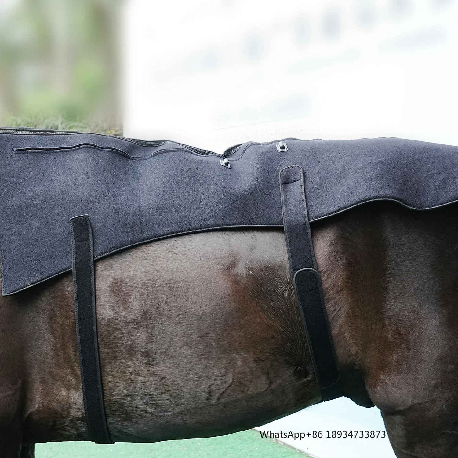 SODOLUX инфракрасный пояс для животных