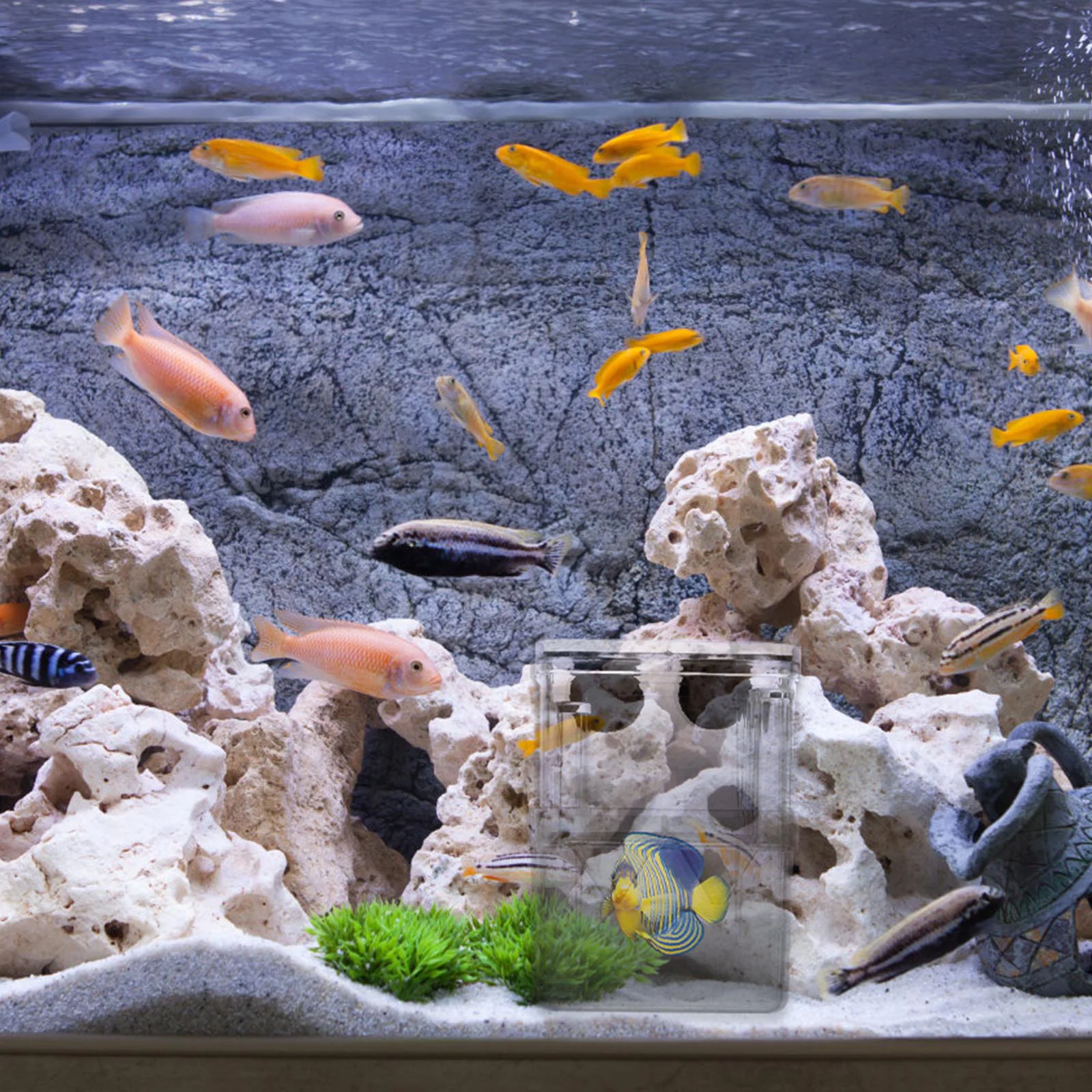 2 шт. инкубационная коробка для инкубации лыжника аквариум контейнер разведения