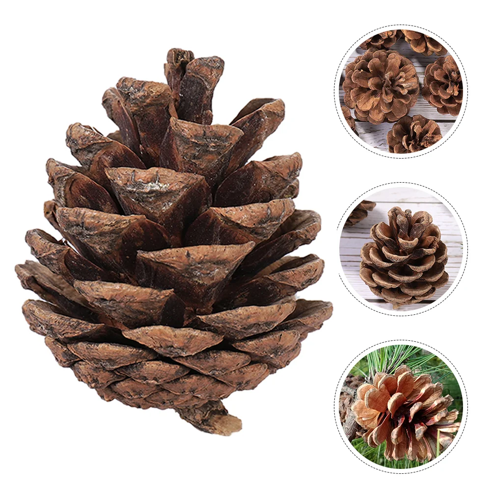 

Natural Pine Cones DIY Christmas Tree Wreath Garland Ornament Fall Thanksgiving New Year Party Decoration