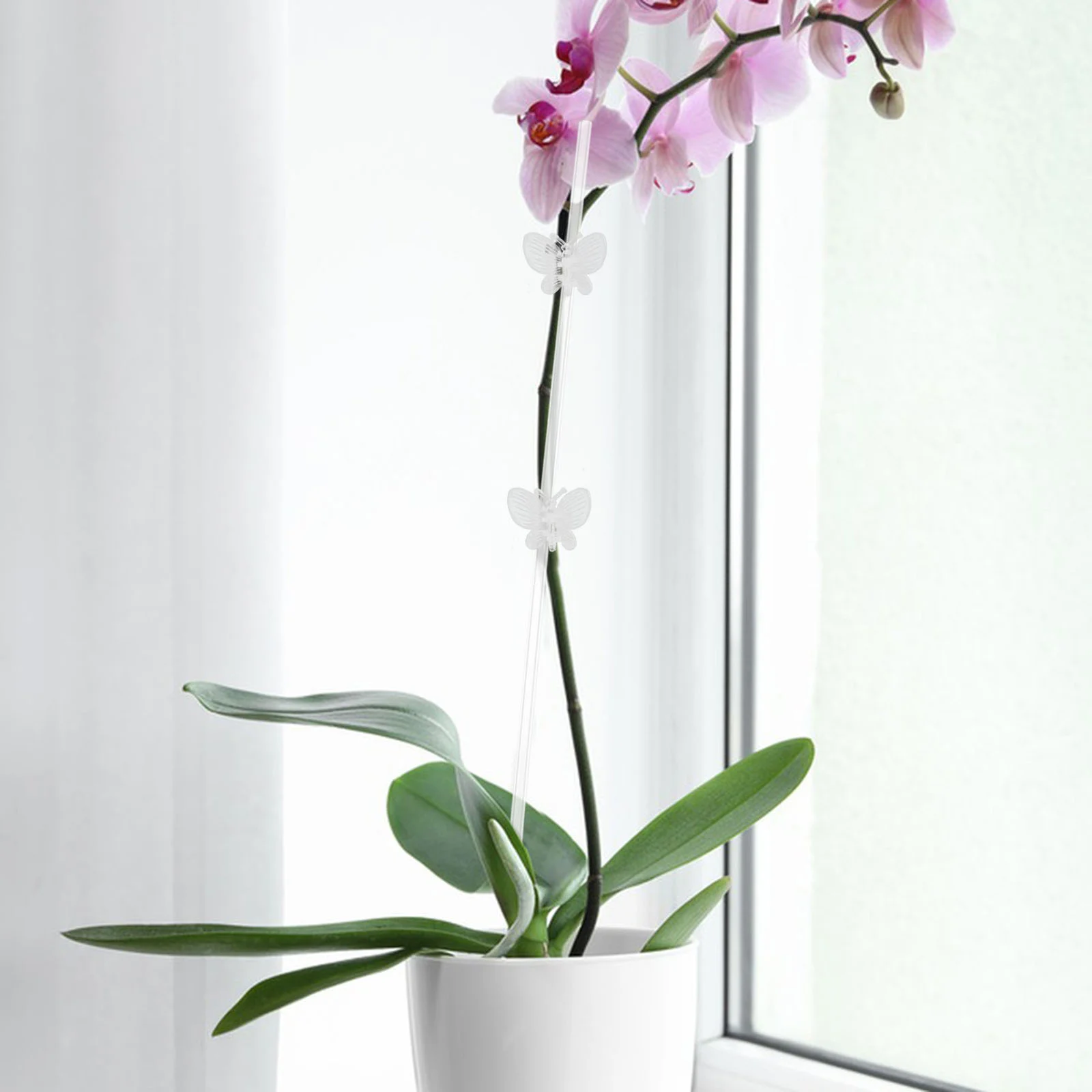 20 шт. подставка для орхидеи зажим цветов принадлежности флориста садовые опорные