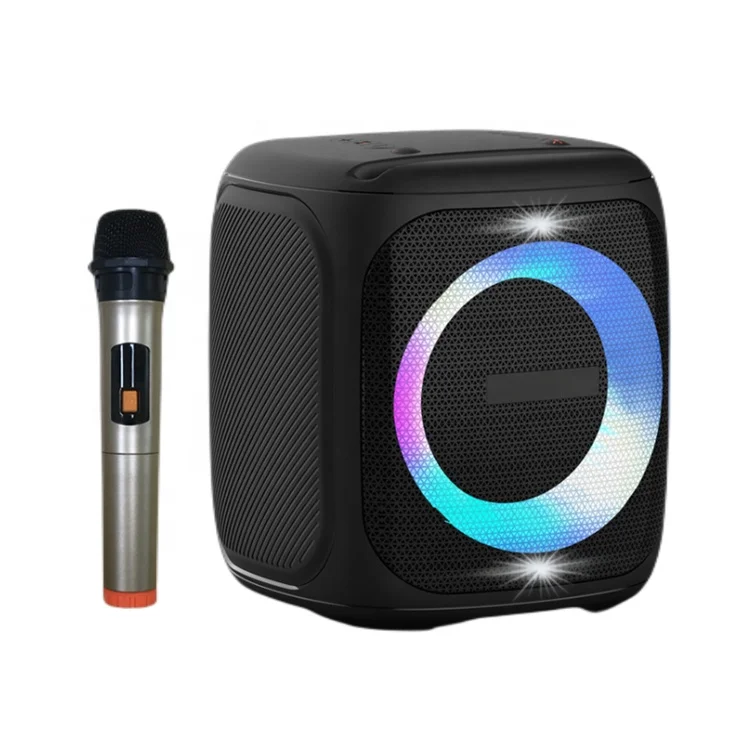 

New Outdoor Stereo Wireless Microphone Portable Karaoke SUBWOOFER SPEAKER