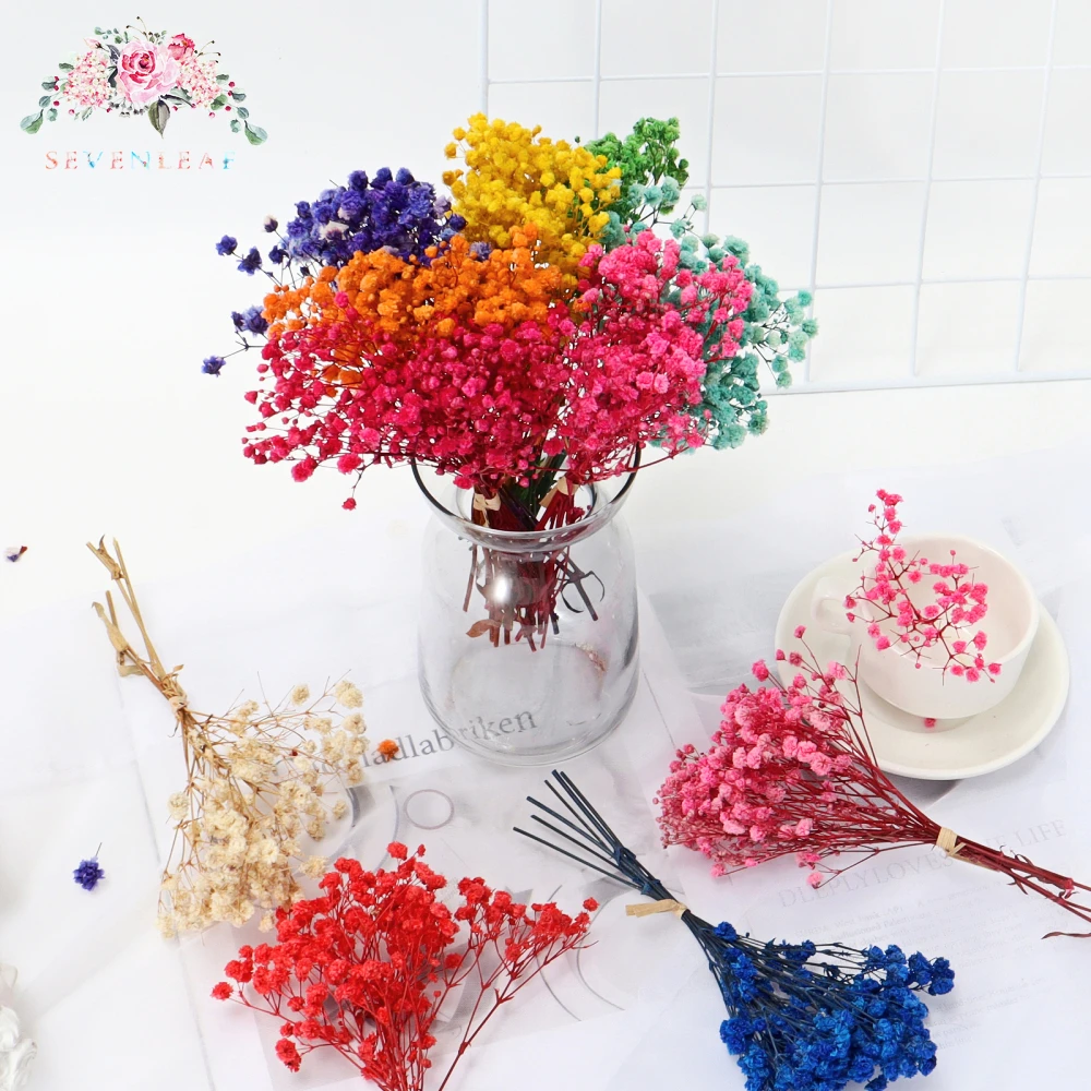 

Colorful Mini Gypsophila Dried Flowers Preserved Flower Bouquet Baby Breath Home Wedding Decoration Photography Backdrop Decor