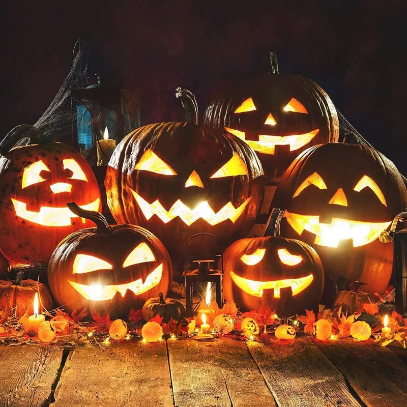 

Pieces Halloween Pumpkin Carving Kit, Professional Stainless Steel Carving Tools Set with Carrying Case, Pumpkin Cutting Sculpti