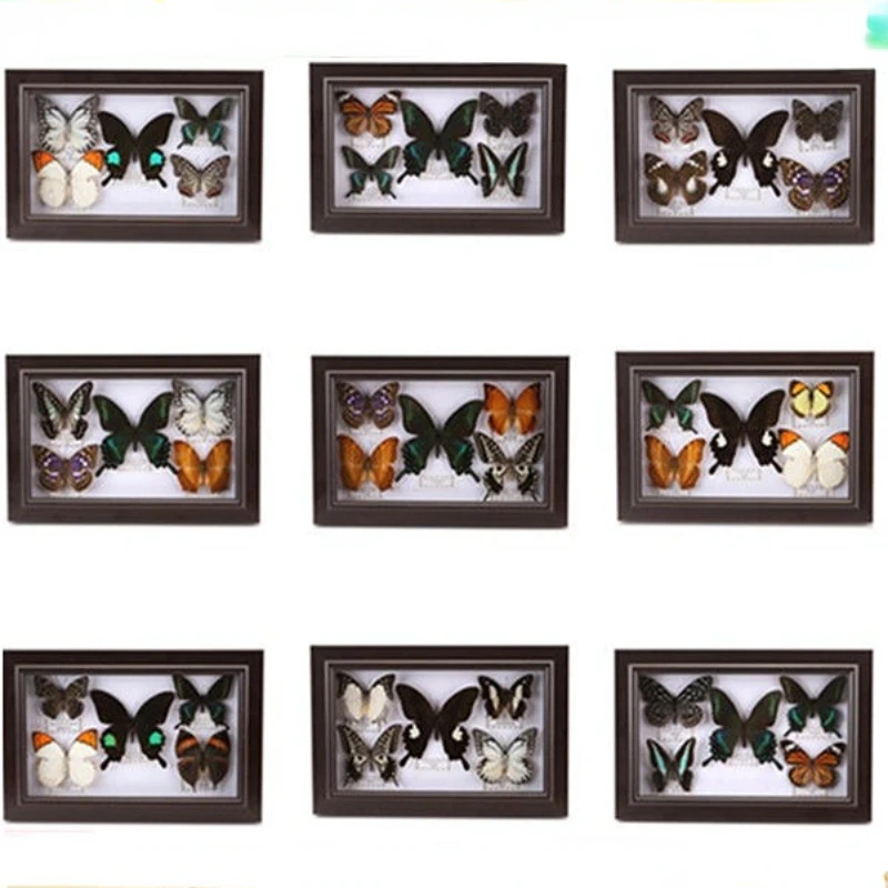 

Real butterfly specimen picture frame decoration birthday gift Teaching science popularization Small ornament home accessories