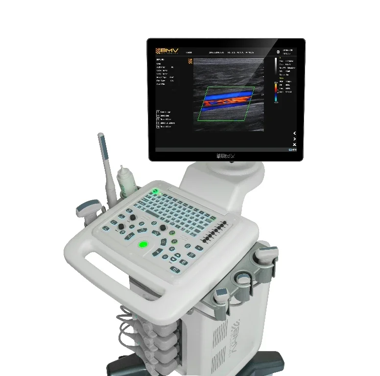 Рисунок 3 - Ветеринарное ультразвуковое устройство