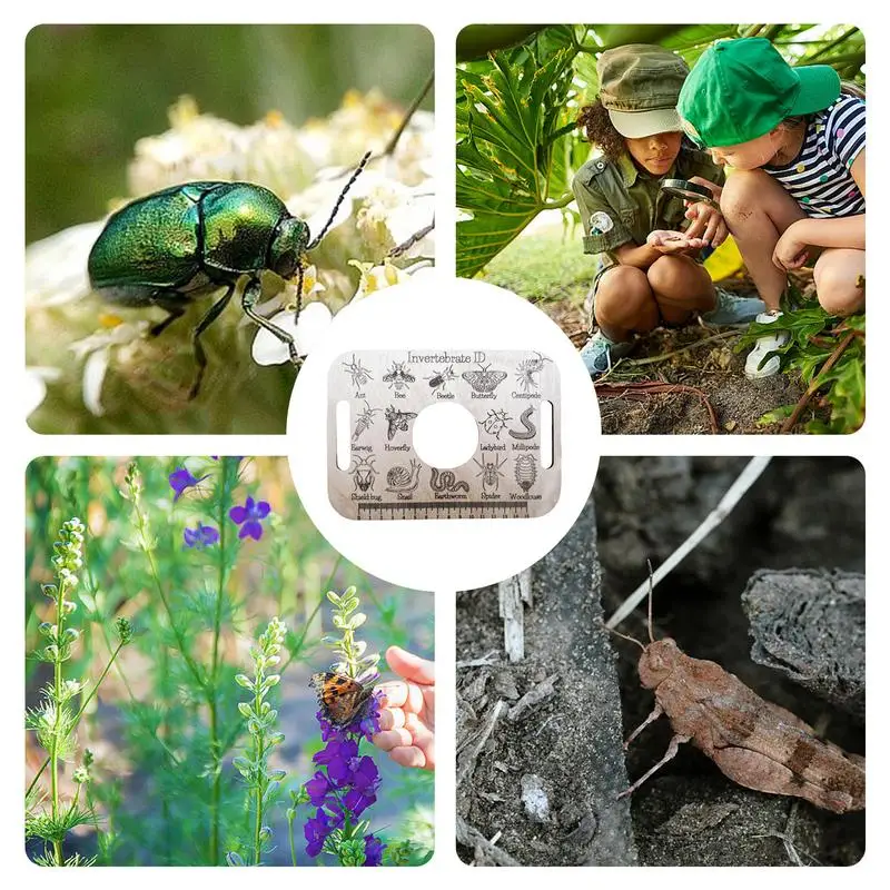 Линейка для идентификации животных обучающая научная линейка уличный