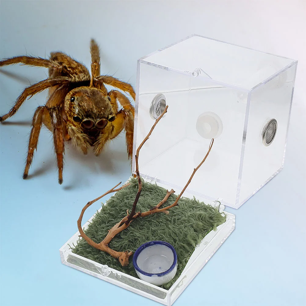 

2 Sets Spider Terrarium Glass Containers Enclosure Acrylic Insects Box Breeding Reptile Feeding Case