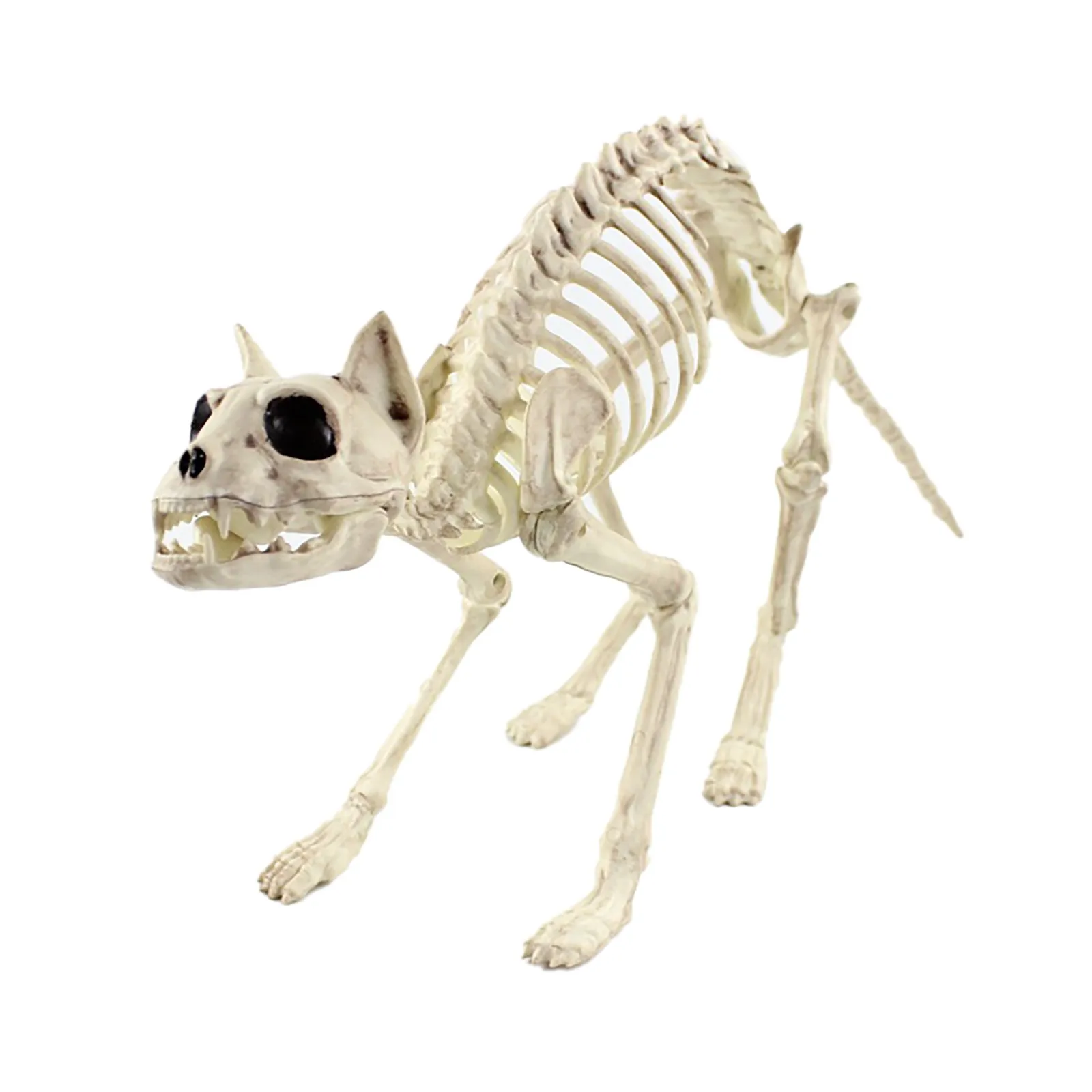 Виды скелетов животных. Игрушки скелеты животных. Скелет кошки. Скелет кошки игрушка. Декоративный скелет кошки.