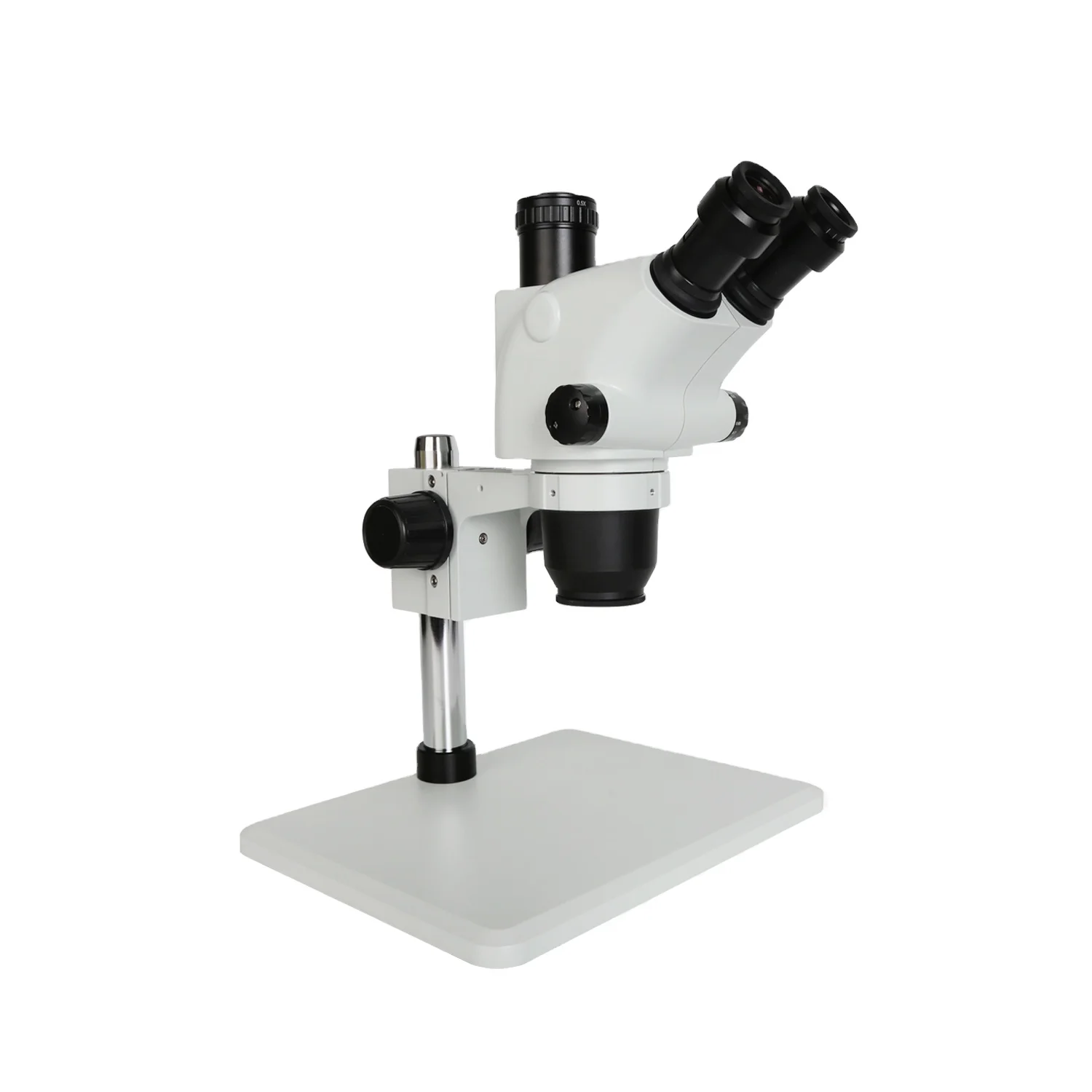 

Trinocular Microscope Kaisi 36565 Laboratory Equipment Up and Down Adjustable Light Source Stereo Microscope