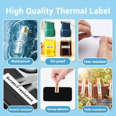 Phomemo D30 Термальный принтер для этикеток