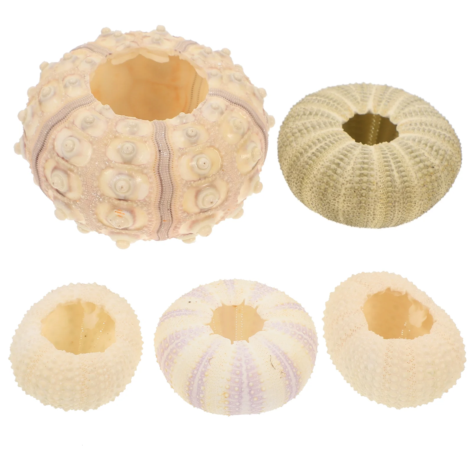 

5pcs Urchin Air Pot Creative Urchin Flowerpots Diy Crafts for Tank