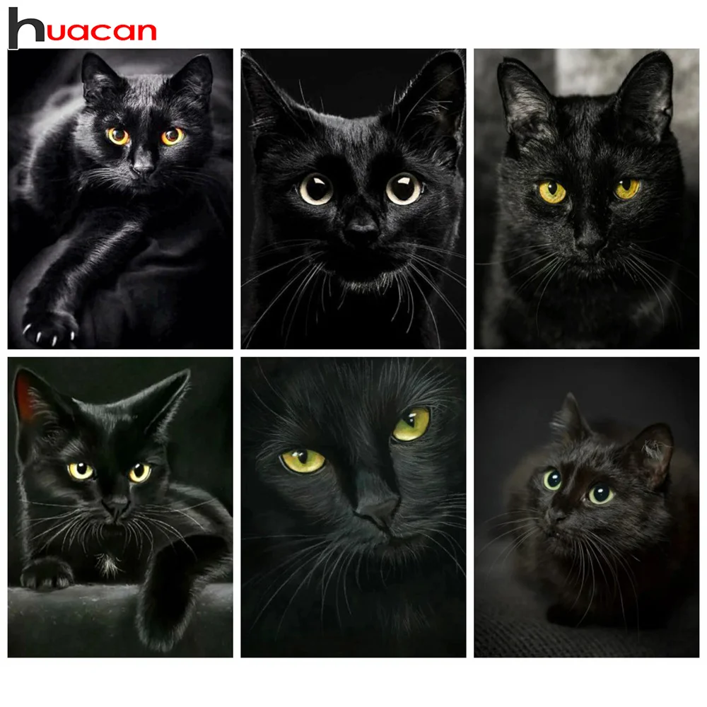 5D Комплект Алмазной Живописи Полная Круглая Квадратная Алмазная Мозаика Хуacan