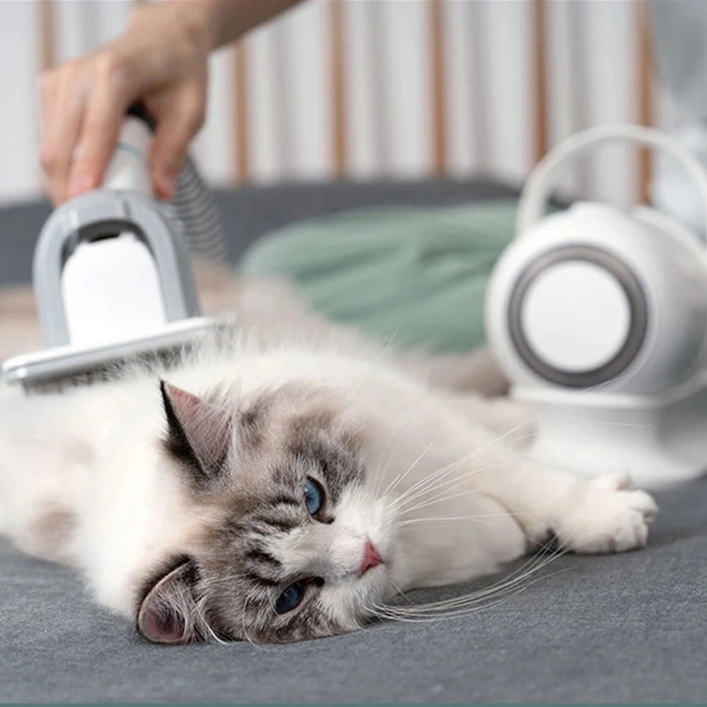 

Pet grooming tools Cordless Rechargeable Animal Electric pet hair clipper trimmer Professional Dog Grooming Clippers