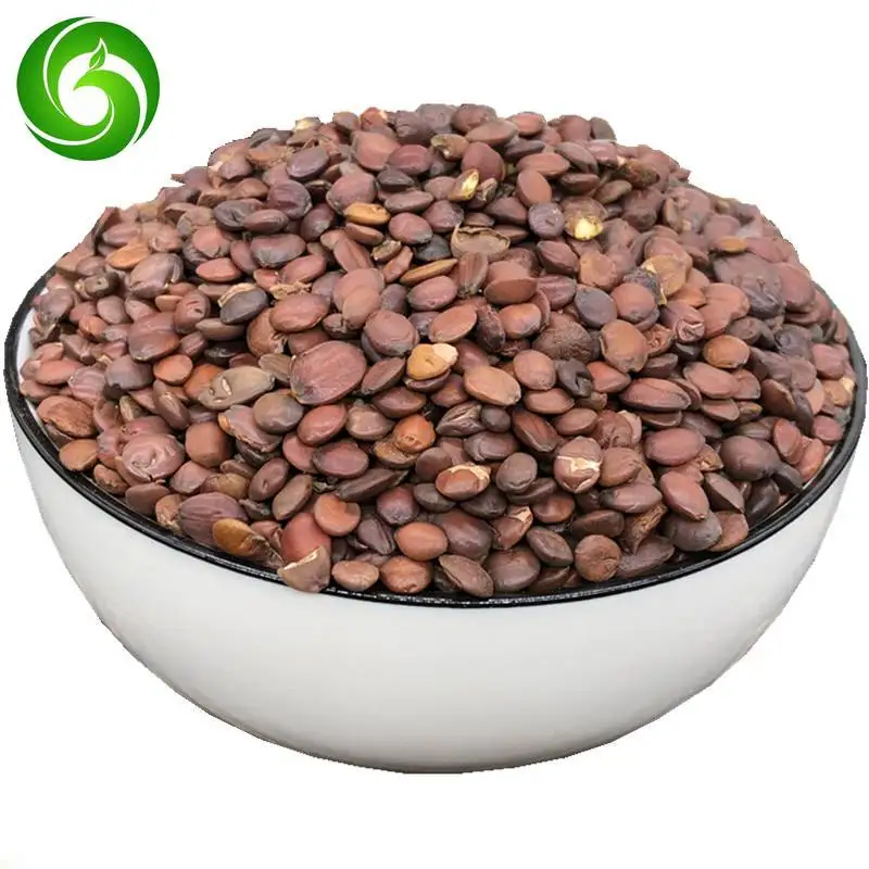 

Semen Ziziphi Spinosae,Chinese Suanzao Ren To Help Sleep