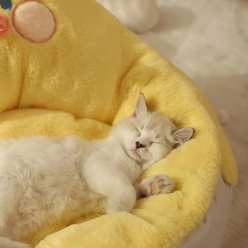 Cheap camas para cães suprimentos para animais de estimação mais