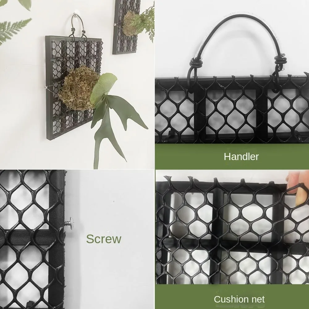 Черная утолщенная доска для папоротника Staghorn Dendrobium пластиковая посадки растений