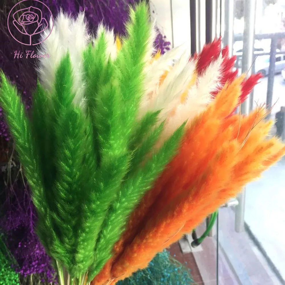 

30PCS Natural Dried Flowers Reed Bouquet Fluffly Small Pampas Grass Wedding Party Preserved Phragmites for Boho Home Decoration
