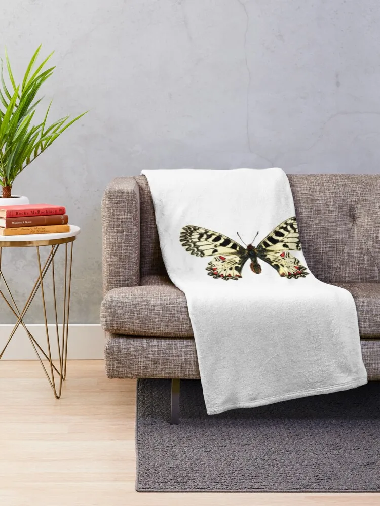 Southern Festoon Butterfly - Zerynthia Polyxena Плед Туристическое фланелевое одеяло с начинкой