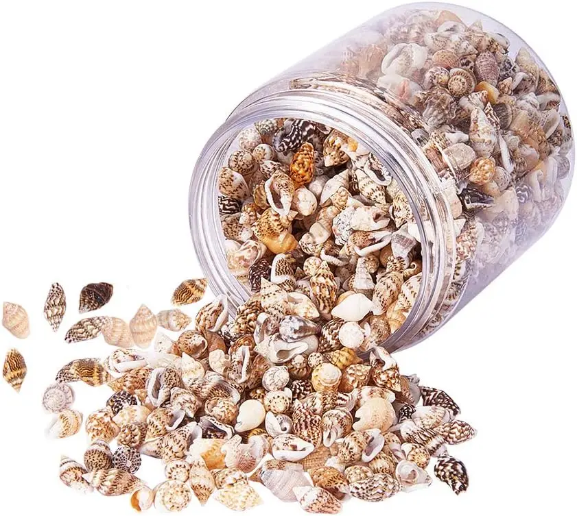 

Набор ракушек CHGCRAFT для рукоделия