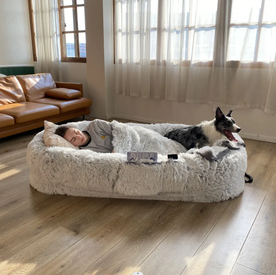 Собачья кровать для человека. Плюшевая кровать для людей. Собака с человеком в кровати. Плюшевая кровать купить для человека. Plufl лежанка для людей купить.