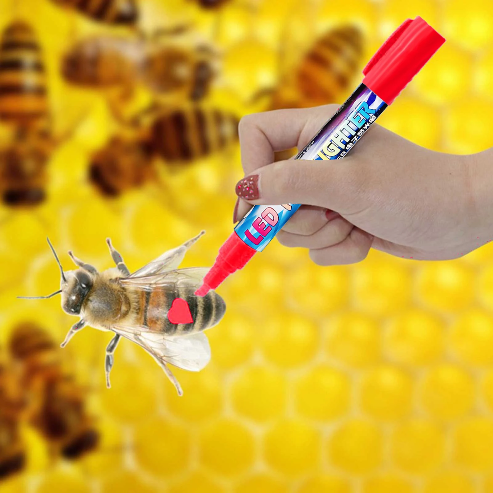 

Marker Pen LED Highlighter Marks Pen 5 Colors Optional Bevel Nib Paintbrush Beekeeping Queen Bee Tools